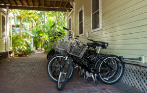 13 Rental bikes available in our beautiful arch way